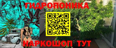 дмт Донской