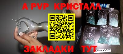 дмт Донской