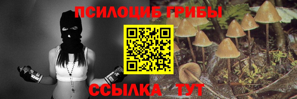 Галлюциногенные грибы GOLDEN TEACHER Нижневартовск